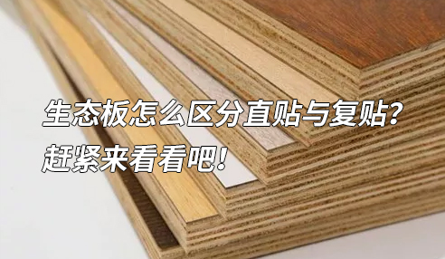 1651289908553167.jpg stb.jpg